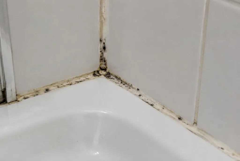 Kitbedrijf Vinkeveen – beschimmelde kitranden